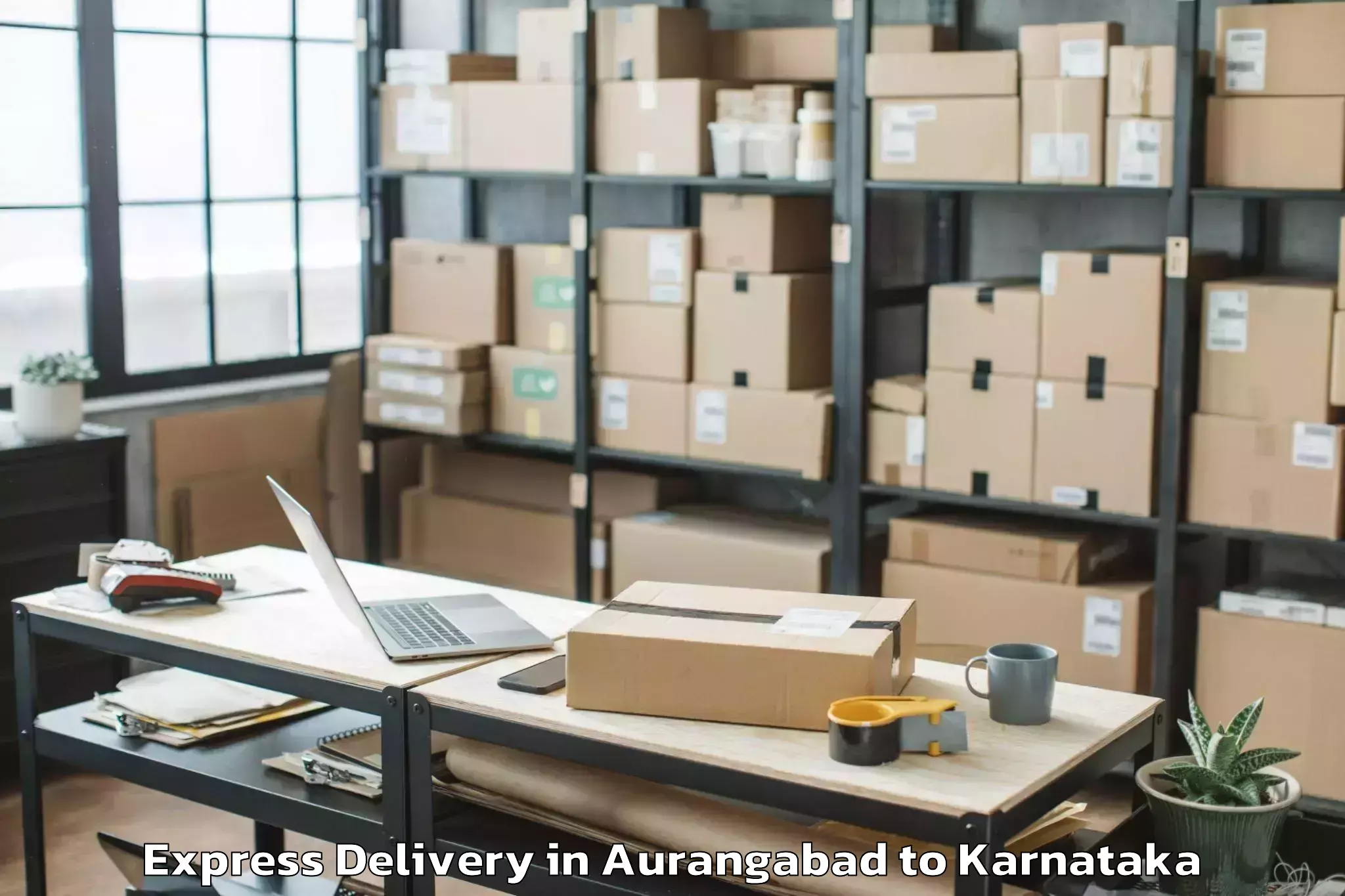 Leading Aurangabad to Savanur Express Delivery Provider